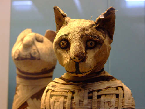 133110346_4bcca3719a